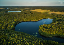 Luftaufnahme Kapellensee